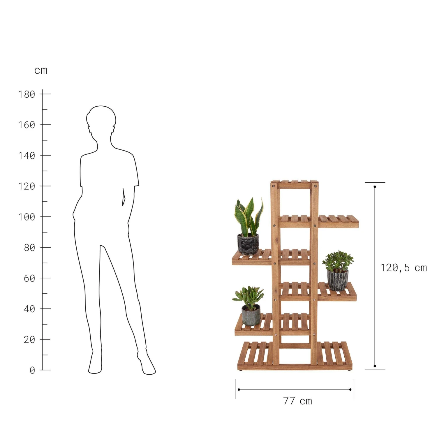Pfanzenregal NEW GARDENING In Natur 4 Pfanzenregal NEW GARDENING In Natur - Image 4